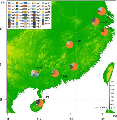 Lack of Genetic Structure Among Populations of Striped Flea Beetle Phyllotreta striolata (Coleoptera: Chrysomelidae) Across Southern China
